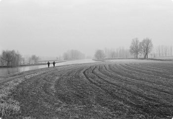 在线接收短信验证码