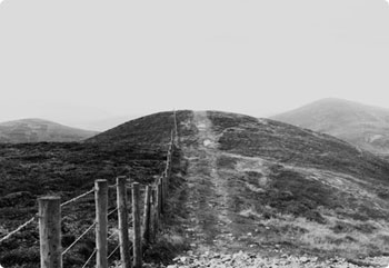 无限短信网页在线轰炸